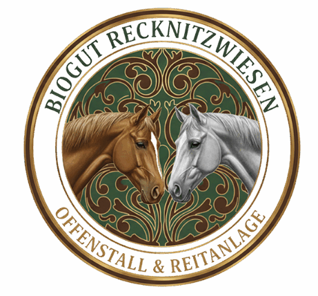 Zurück zur Startseite